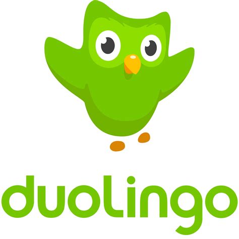 duolingo meaning